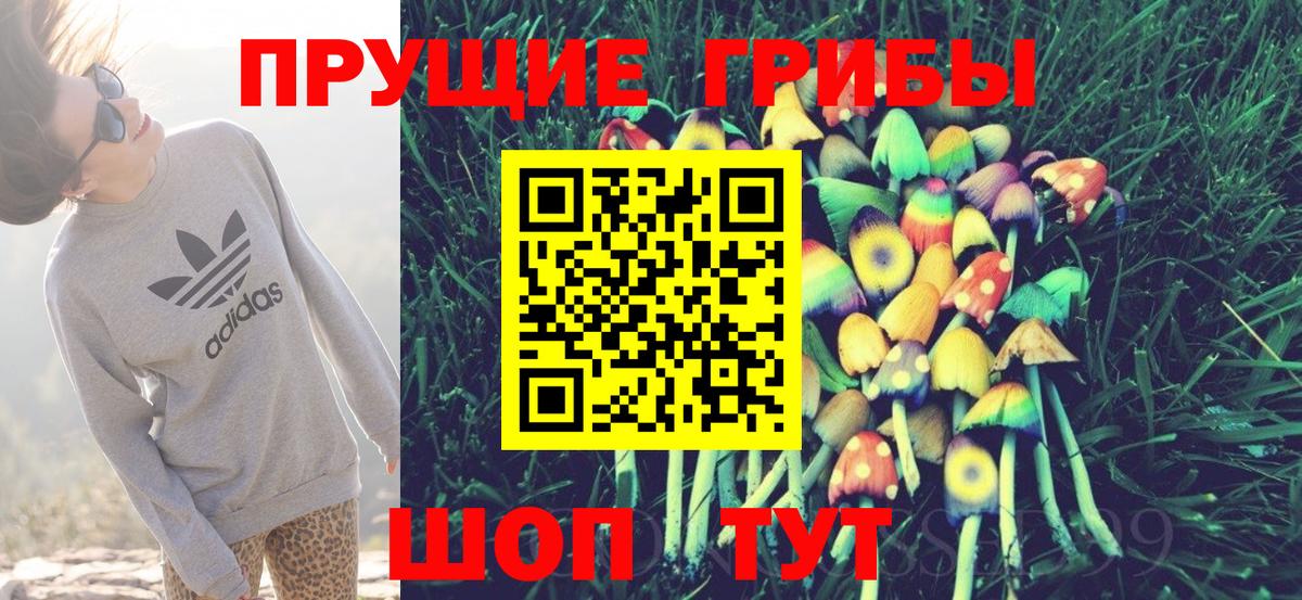 Галлюциногенные грибы Psilocybine cubensis  цена   Псилоцибиновые грибы прущие грибы  Североуральск  Вход с VPN 